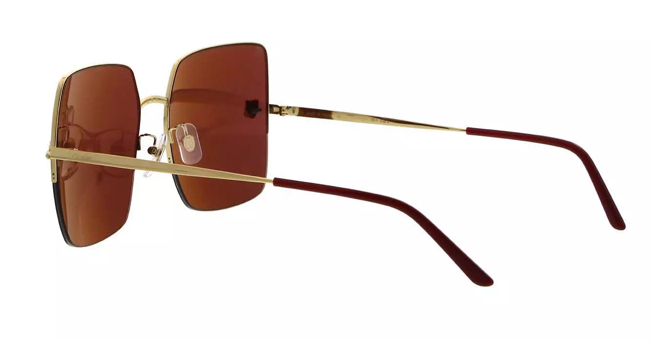 Cartier CT0121SA 003