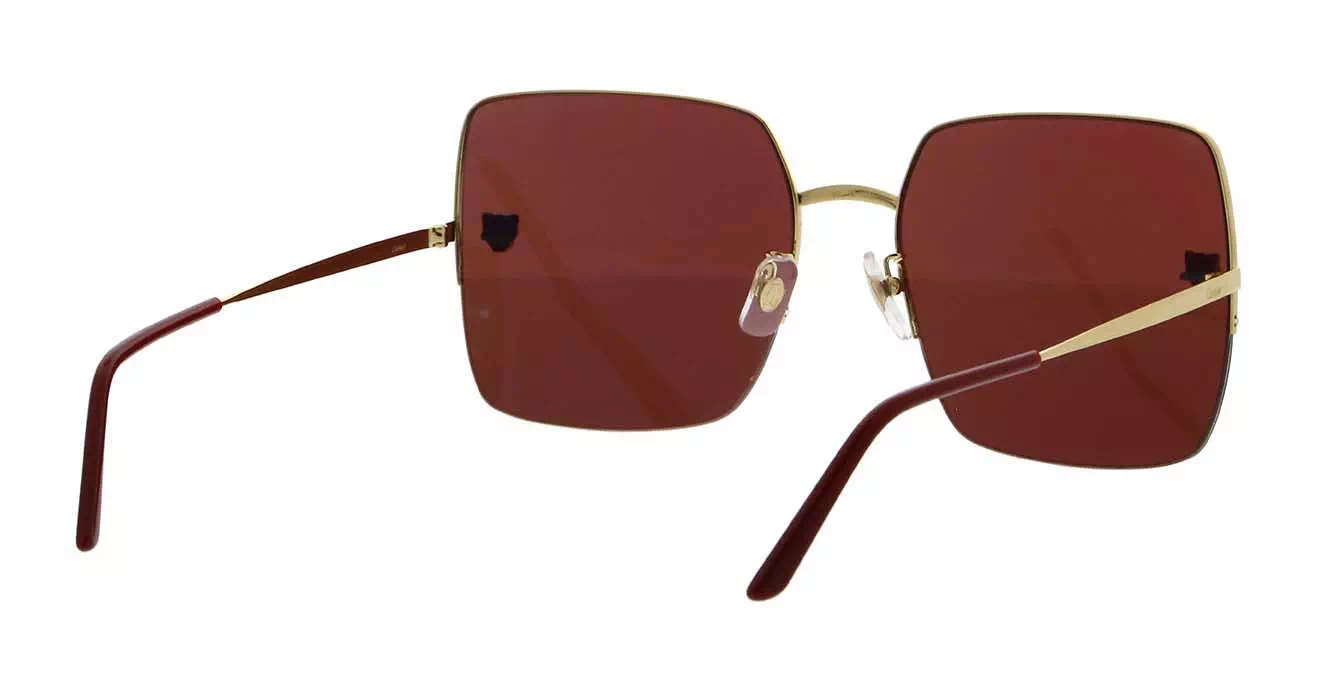 Cartier CT0121SA 003