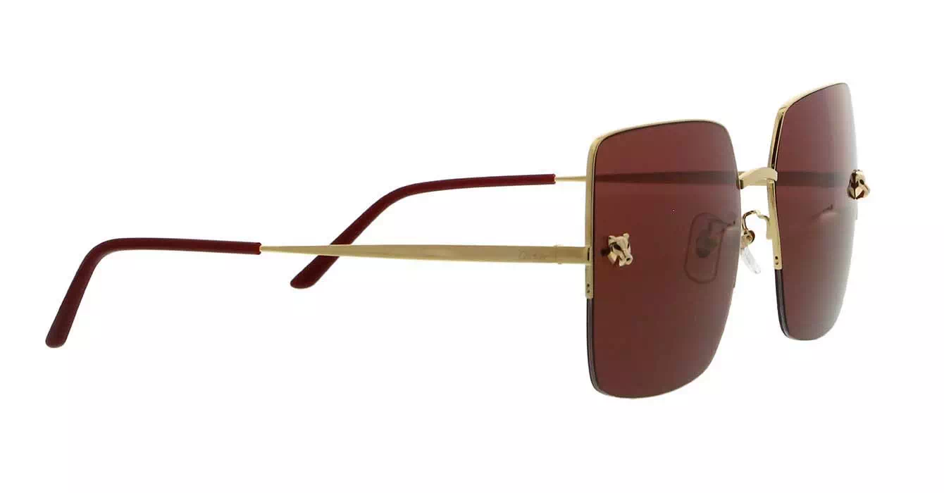 Cartier CT0121SA 003