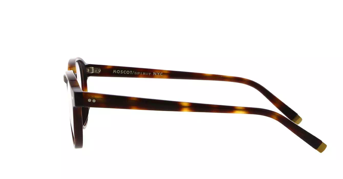 Moscot Arthur AP Tortoise s50
