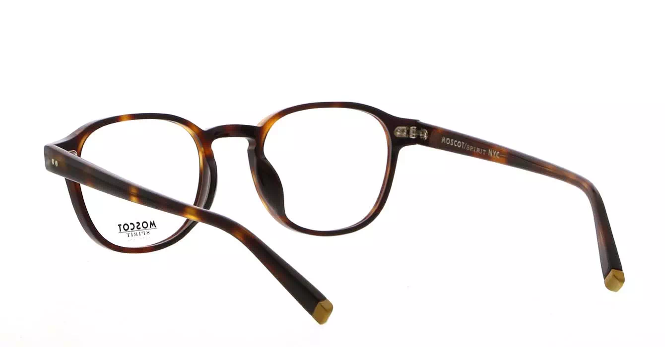 Moscot Arthur AP Tortoise s50