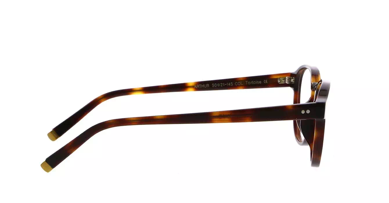 Moscot Arthur AP Tortoise s50