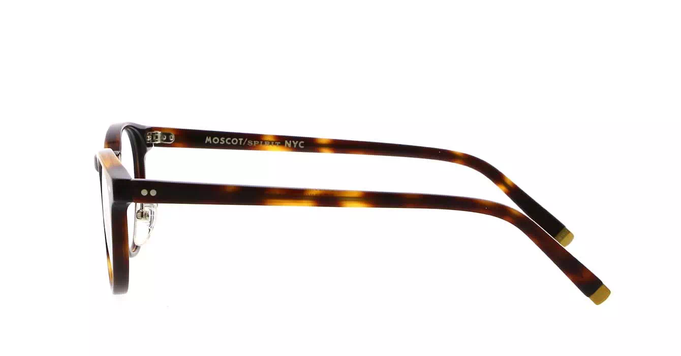 Moscot Frankie MP Tortoise s48
