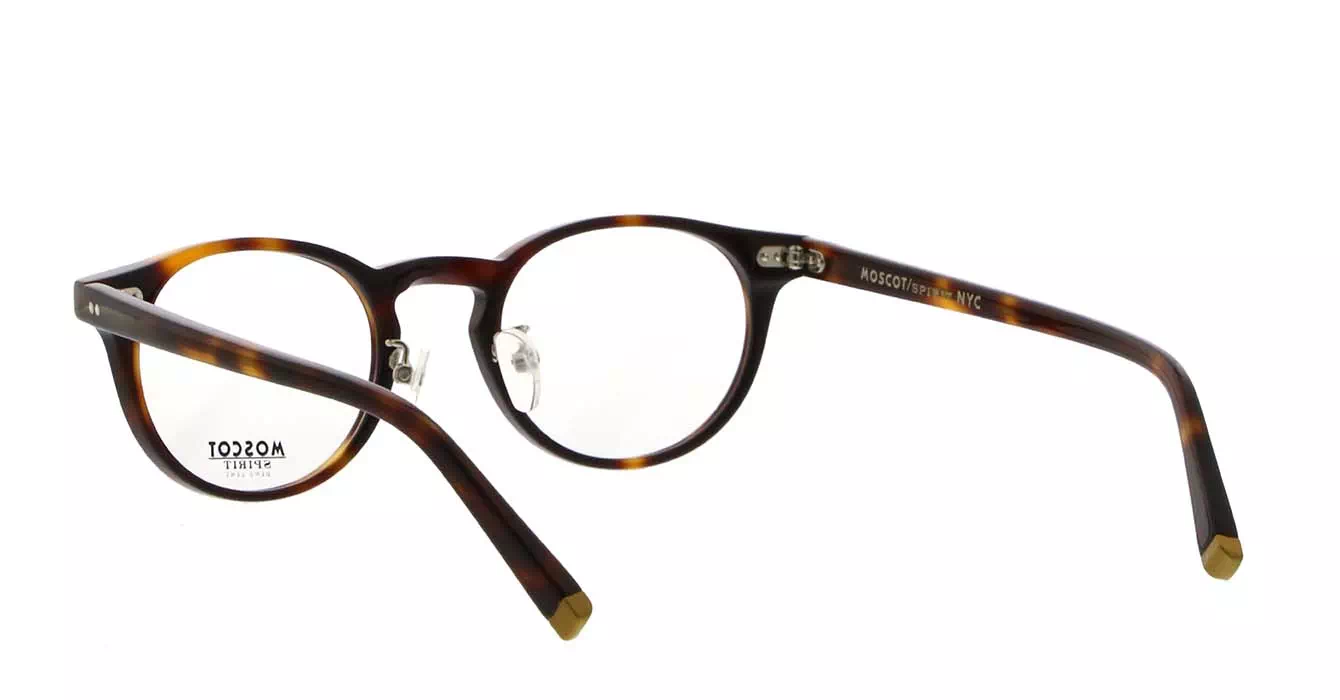 Moscot Frankie MP Tortoise s48