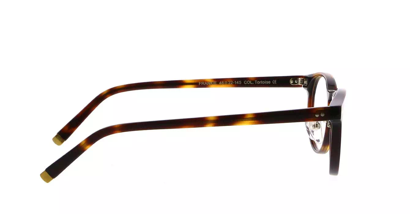 Moscot Frankie MP Tortoise s48