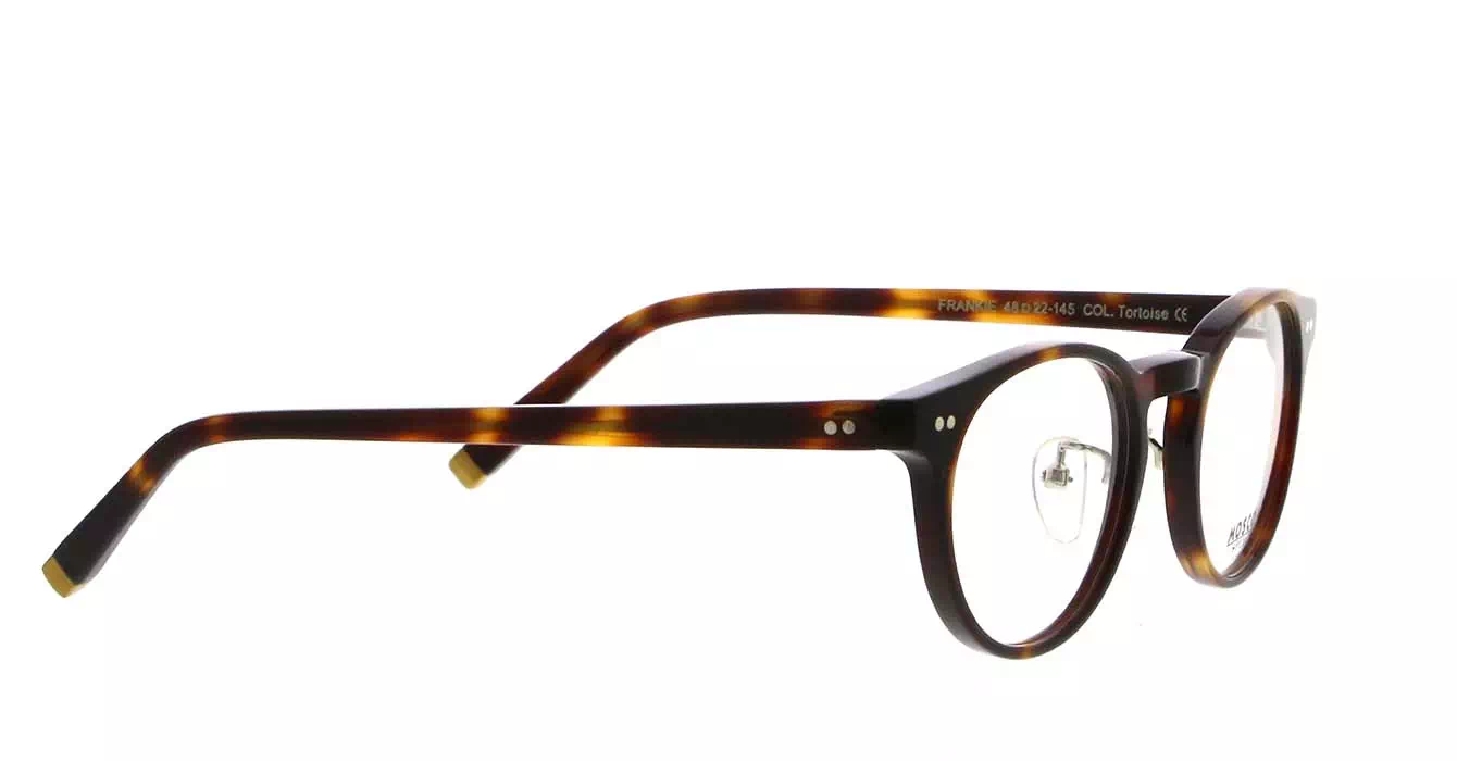 Moscot Frankie MP Tortoise s48