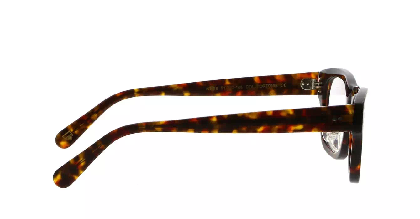 Moscot Nebb MP Tortoise s51