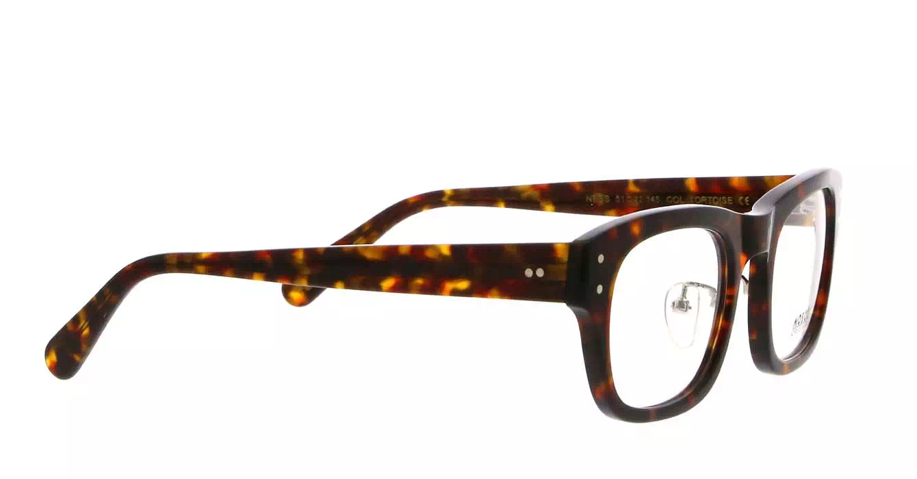 Moscot Nebb MP Tortoise s51