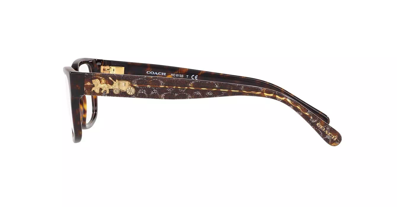 Coach HC6133F 5120 s54