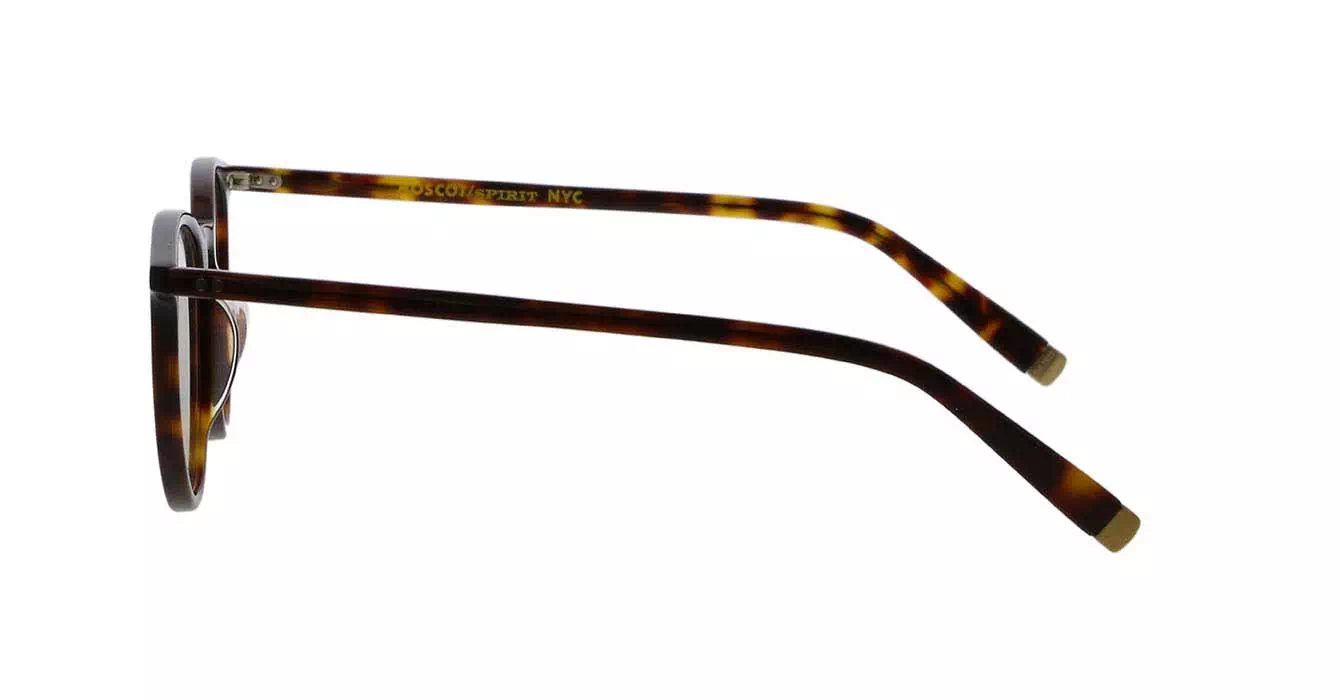Moscot Jared Tortoise s47 + Clip On Tortoise Cosmitan Brown