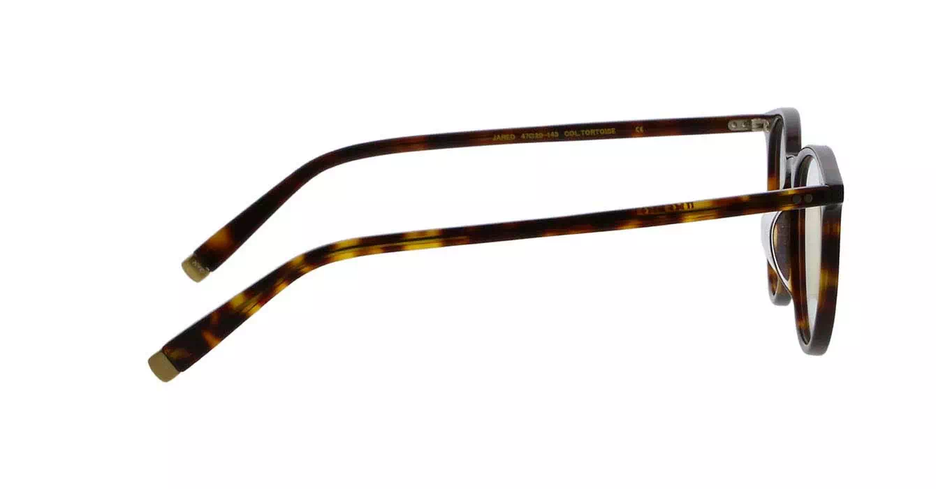 Moscot Jared Tortoise s47 + Clip On Tortoise Cosmitan Brown