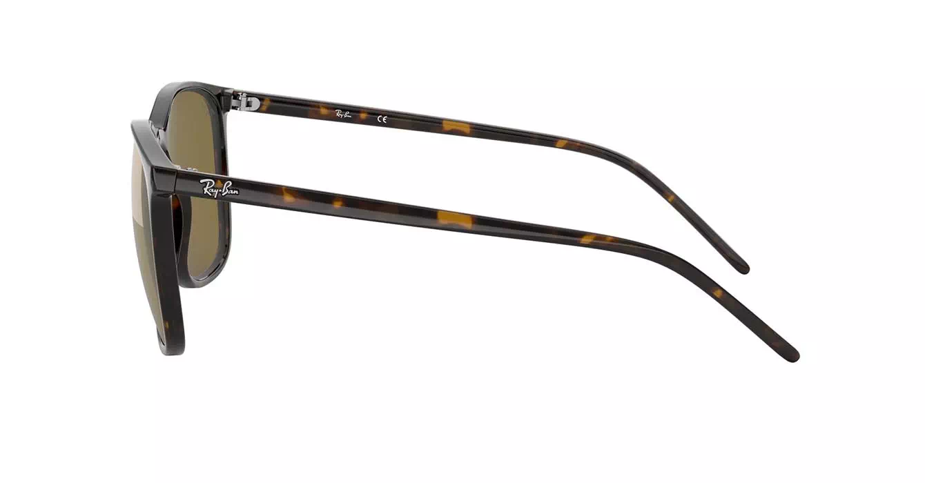 Ray-Ban RB4387F 902/73 s55
