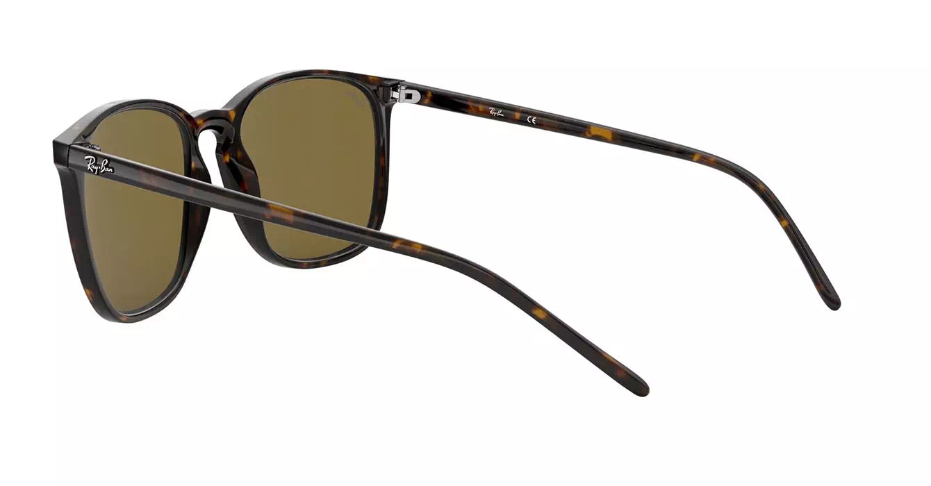Ray-Ban RB4387F 902/73 s55
