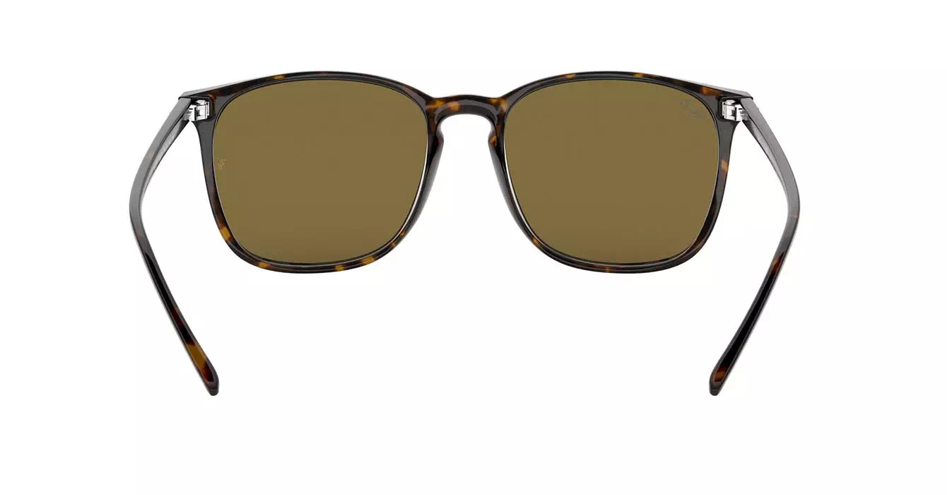 Ray-Ban RB4387F 902/73 s55
