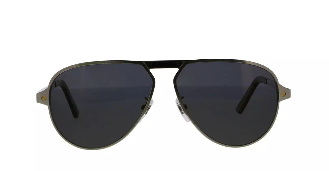 Cartier CT0101SA 002 s61