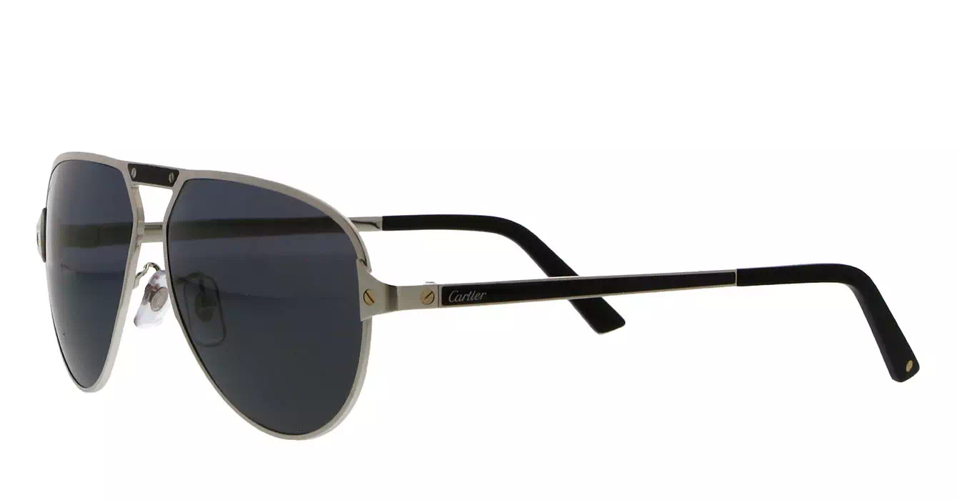 Cartier CT0101SA 002 s61