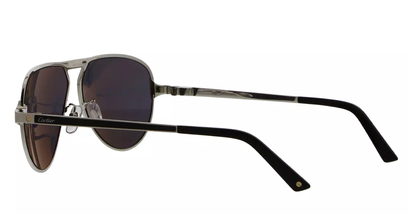 Cartier CT0101SA 002 s61
