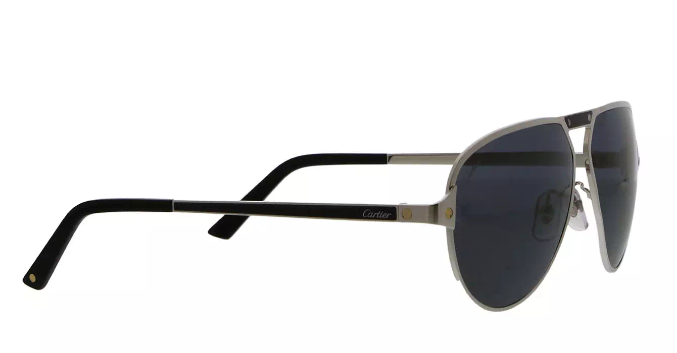 Cartier CT0101SA 002 s61