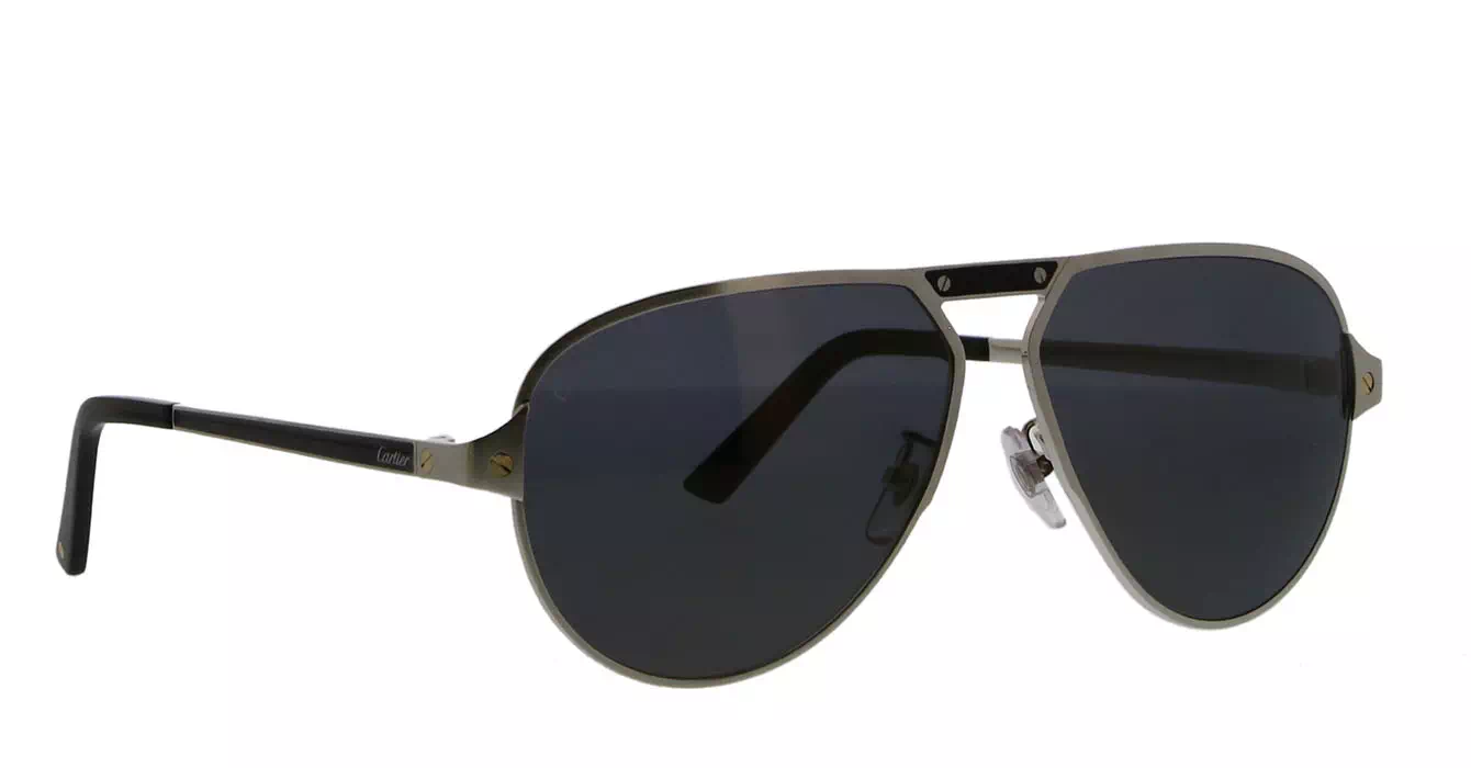 Cartier CT0101SA 002 s61