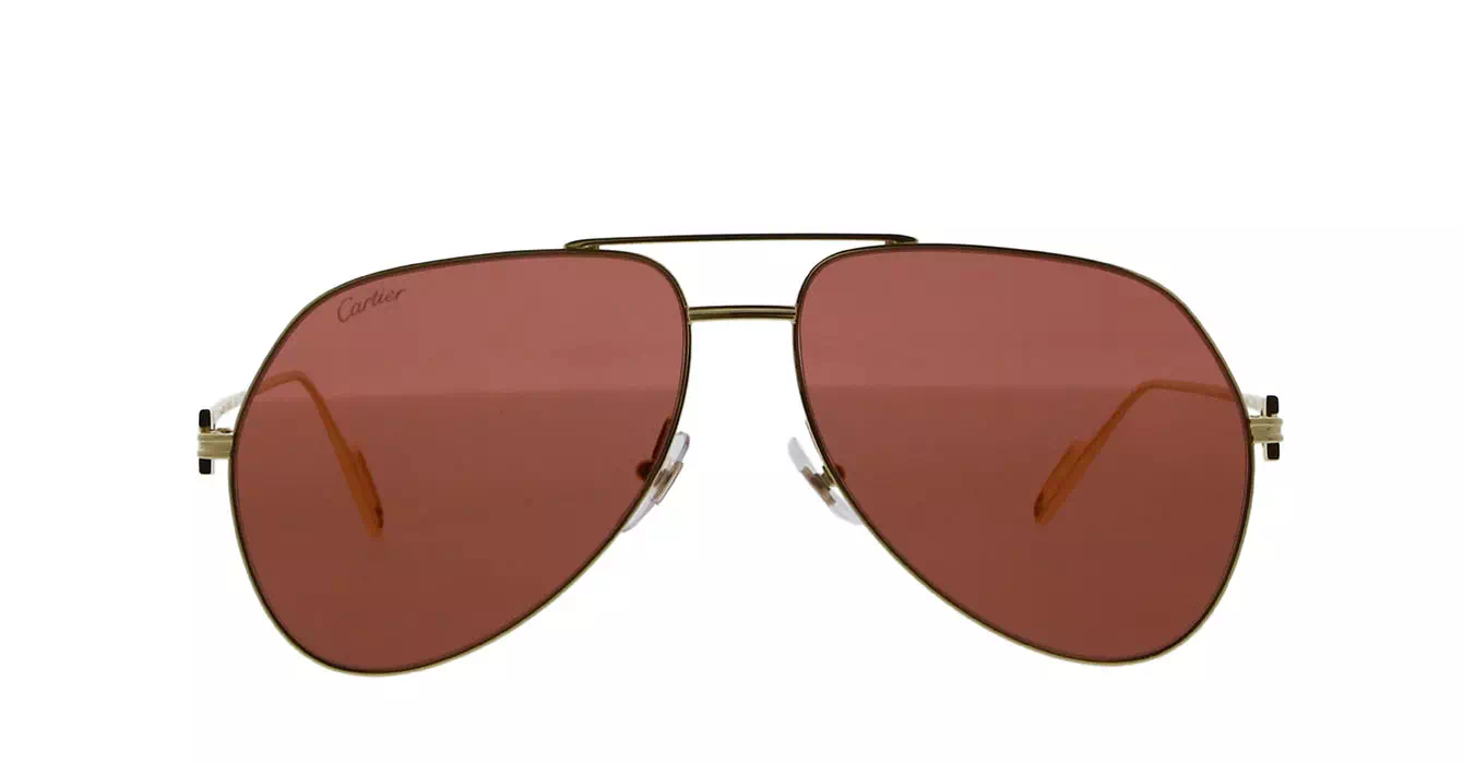 Cartier CT0110S 009 s60