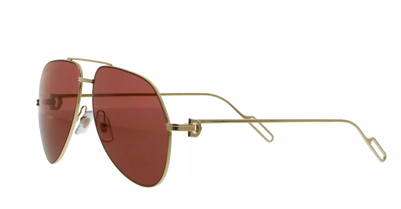 Cartier CT0110S 009 s60
