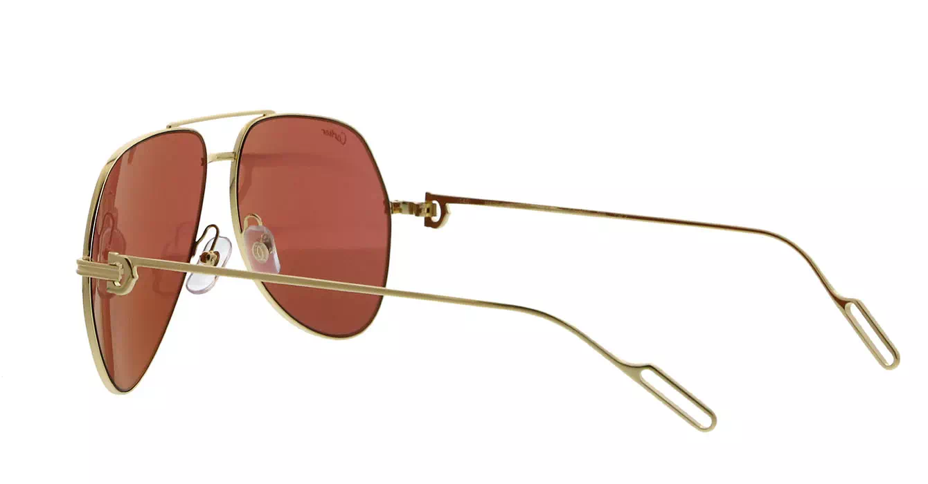 Cartier CT0110S 009 s60