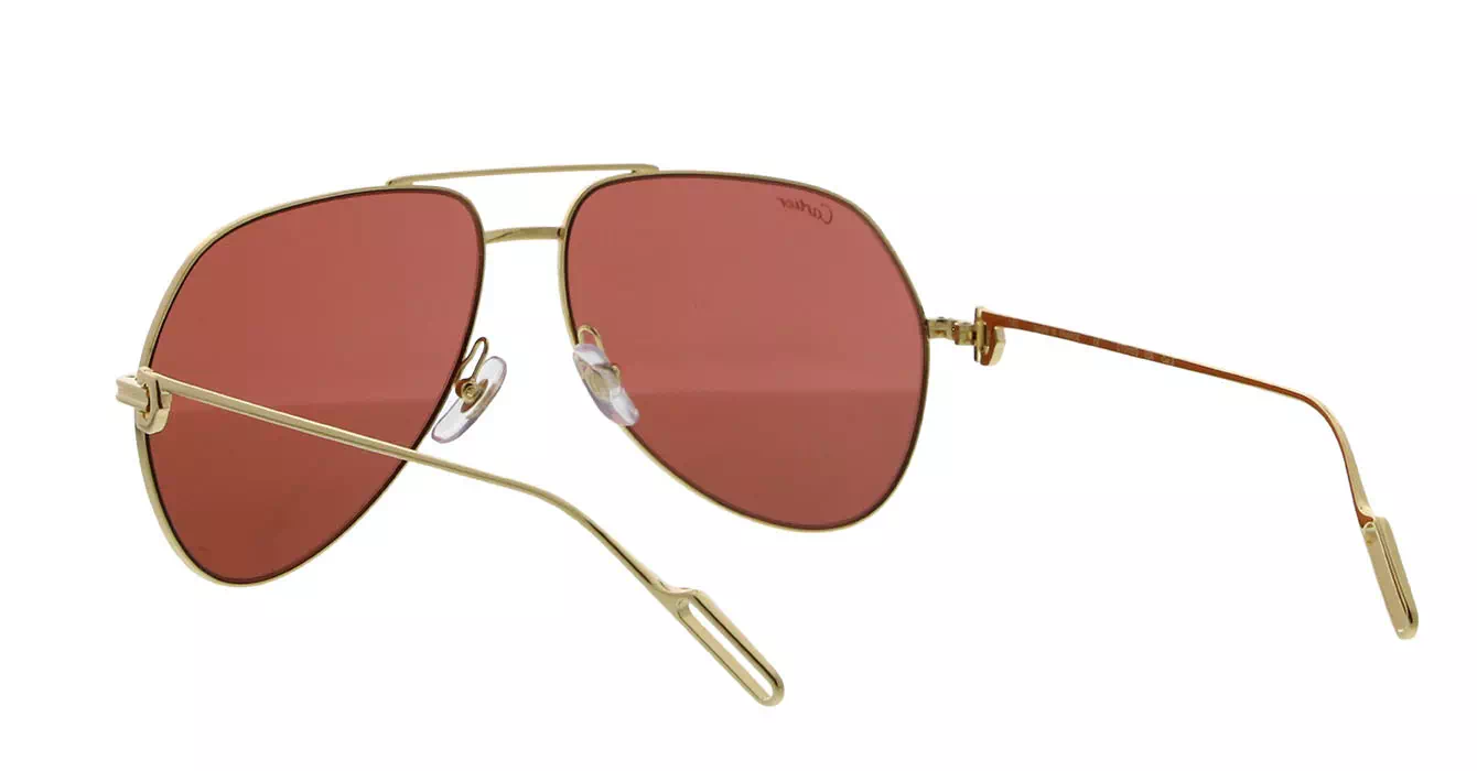 Cartier CT0110S 009 s60