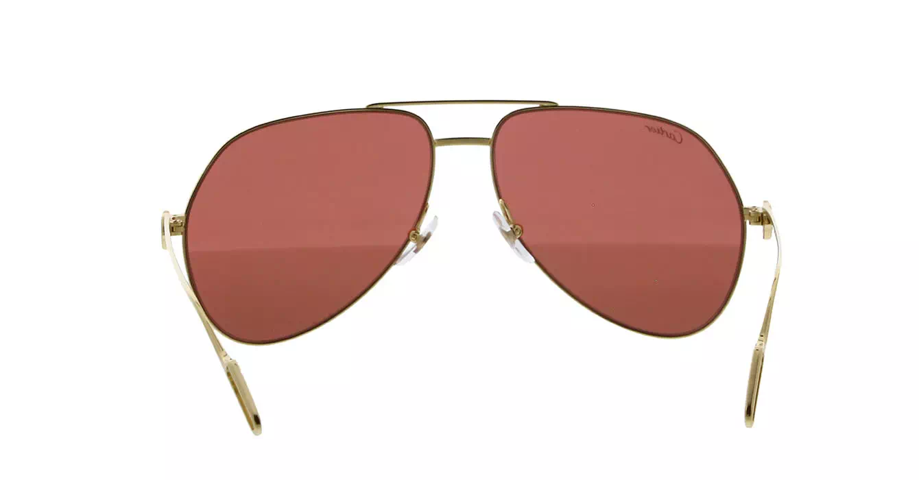 Cartier CT0110S 009 s60