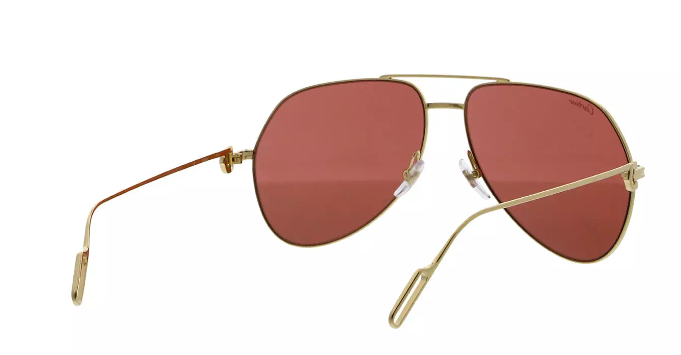 Cartier CT0110S 009 s60