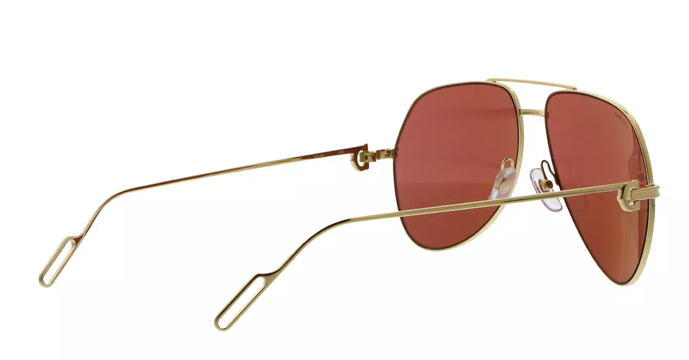Cartier CT0110S 009 s60