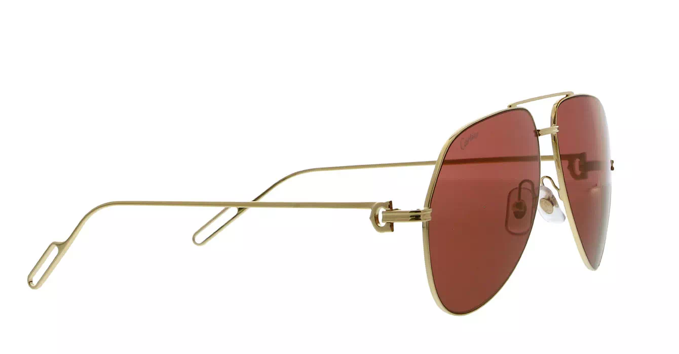 Cartier CT0110S 009 s60