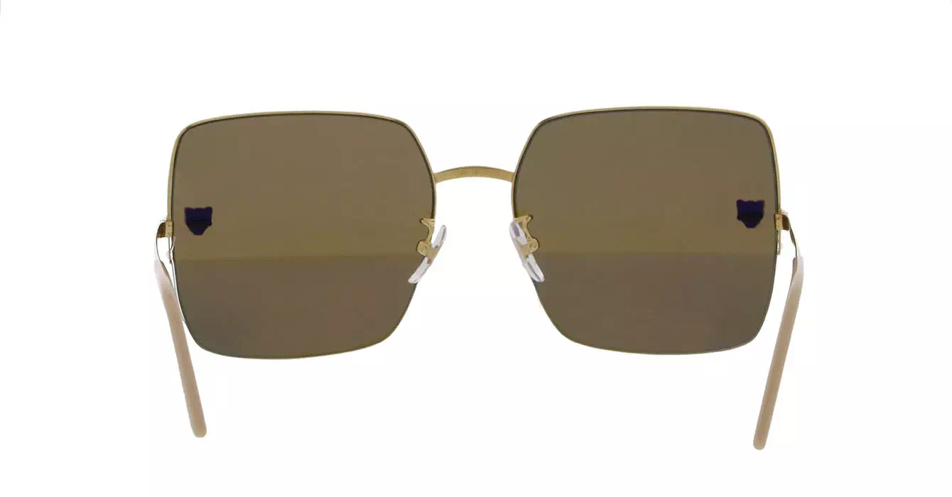 Cartier CT0121SA 001 s60
