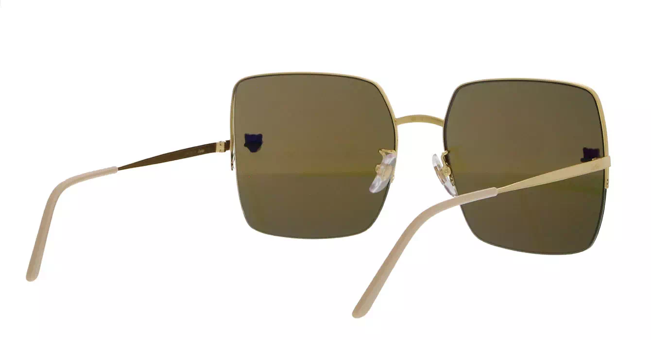 Cartier CT0121SA 001 s60
