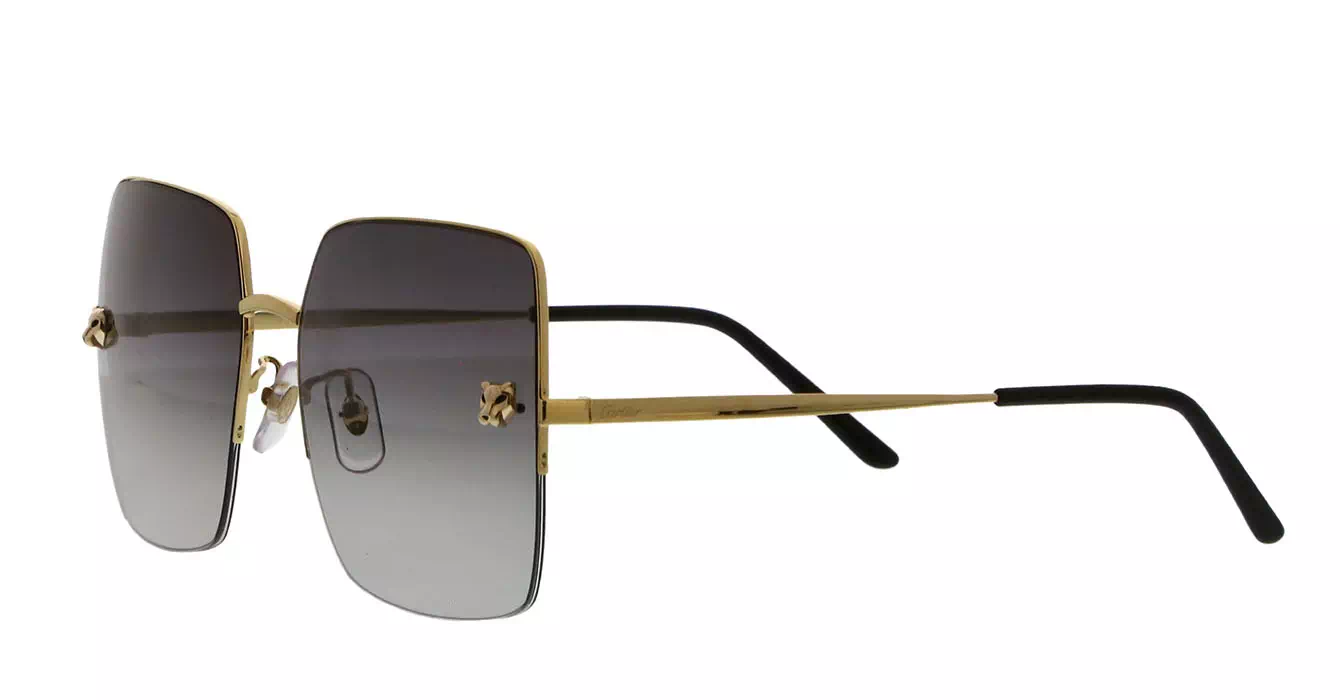 Cartier CT0121SA 004 s60