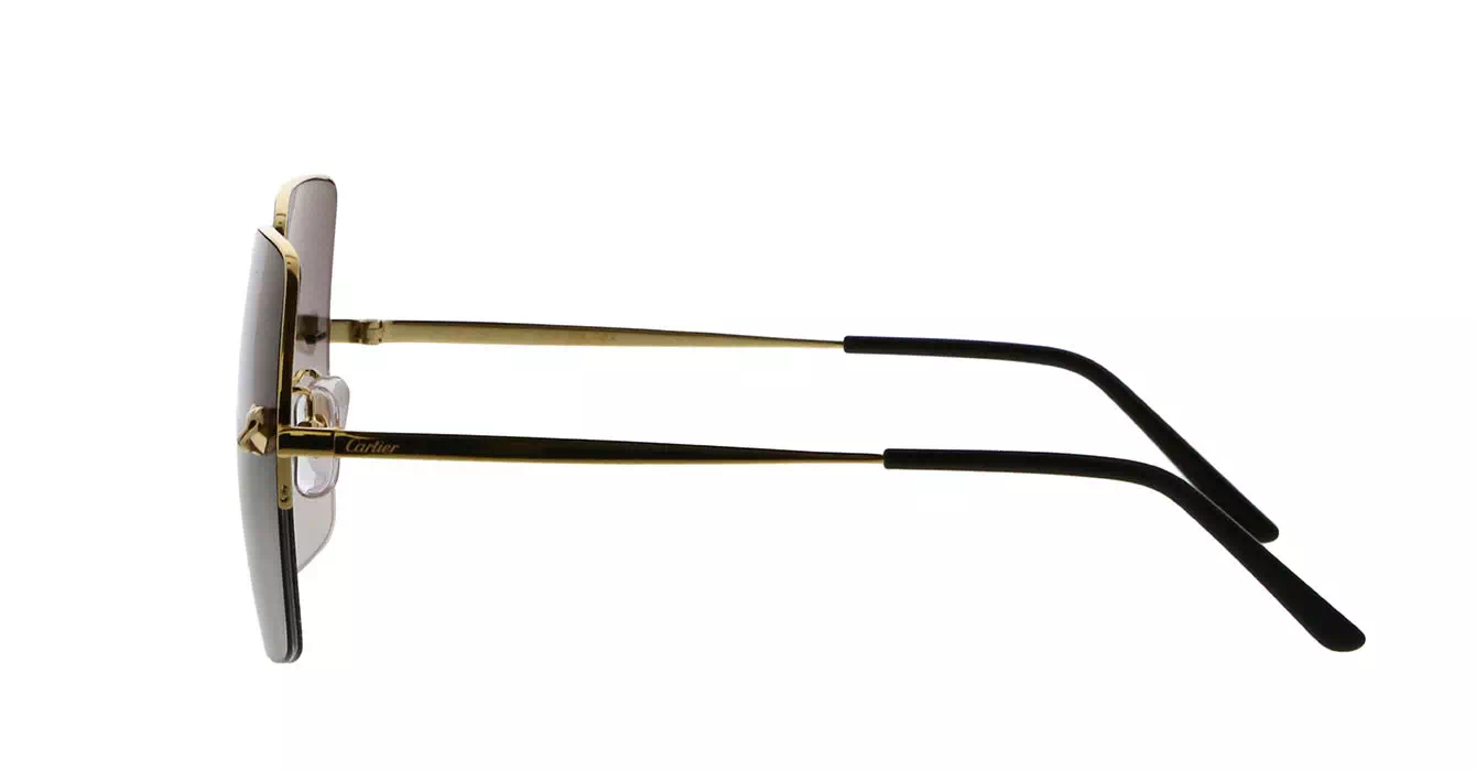 Cartier CT0121SA 004 s60