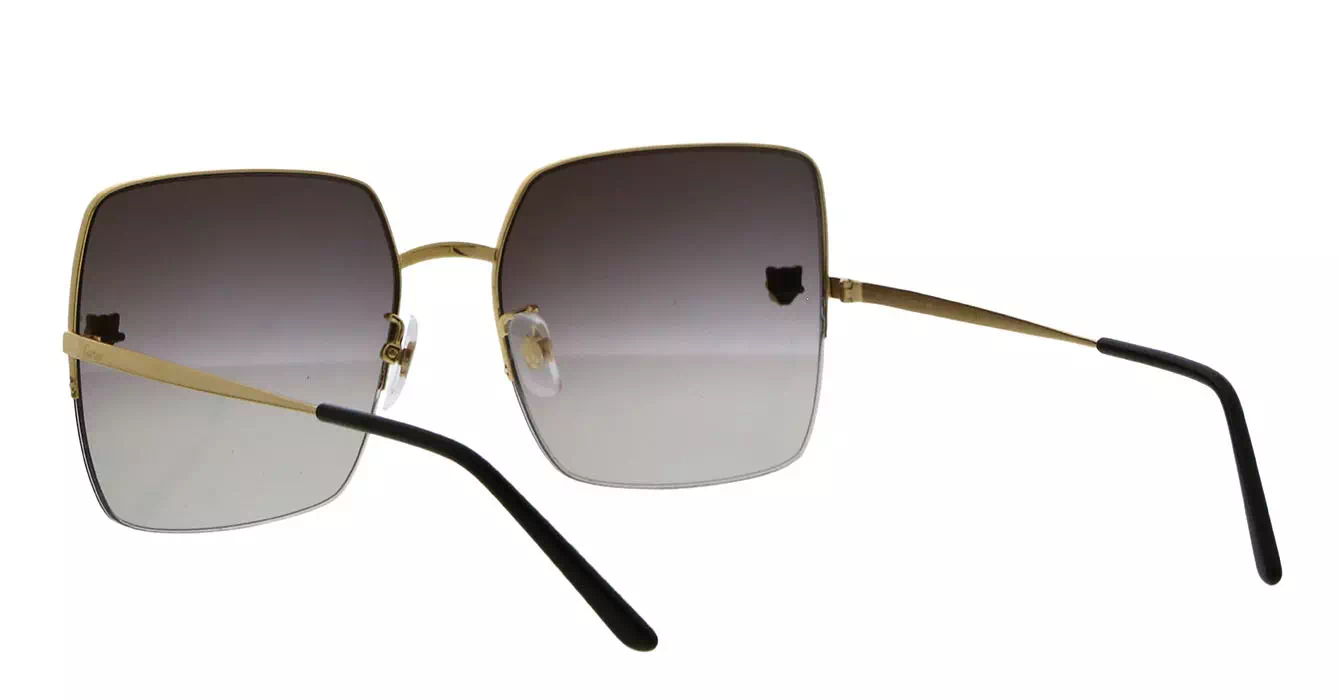 Cartier CT0121SA 004 s60