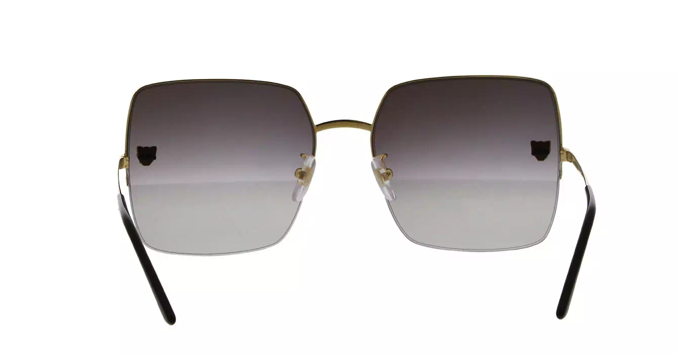 Cartier CT0121SA 004 s60