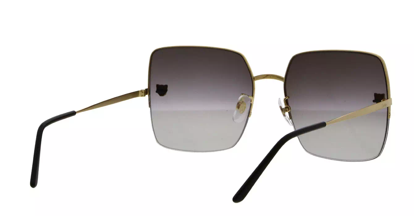 Cartier CT0121SA 004 s60