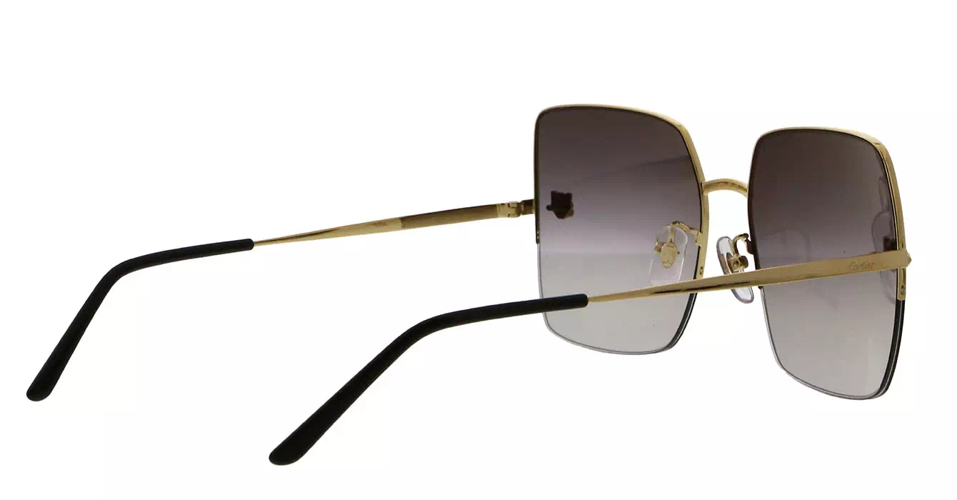 Cartier CT0121SA 004 s60
