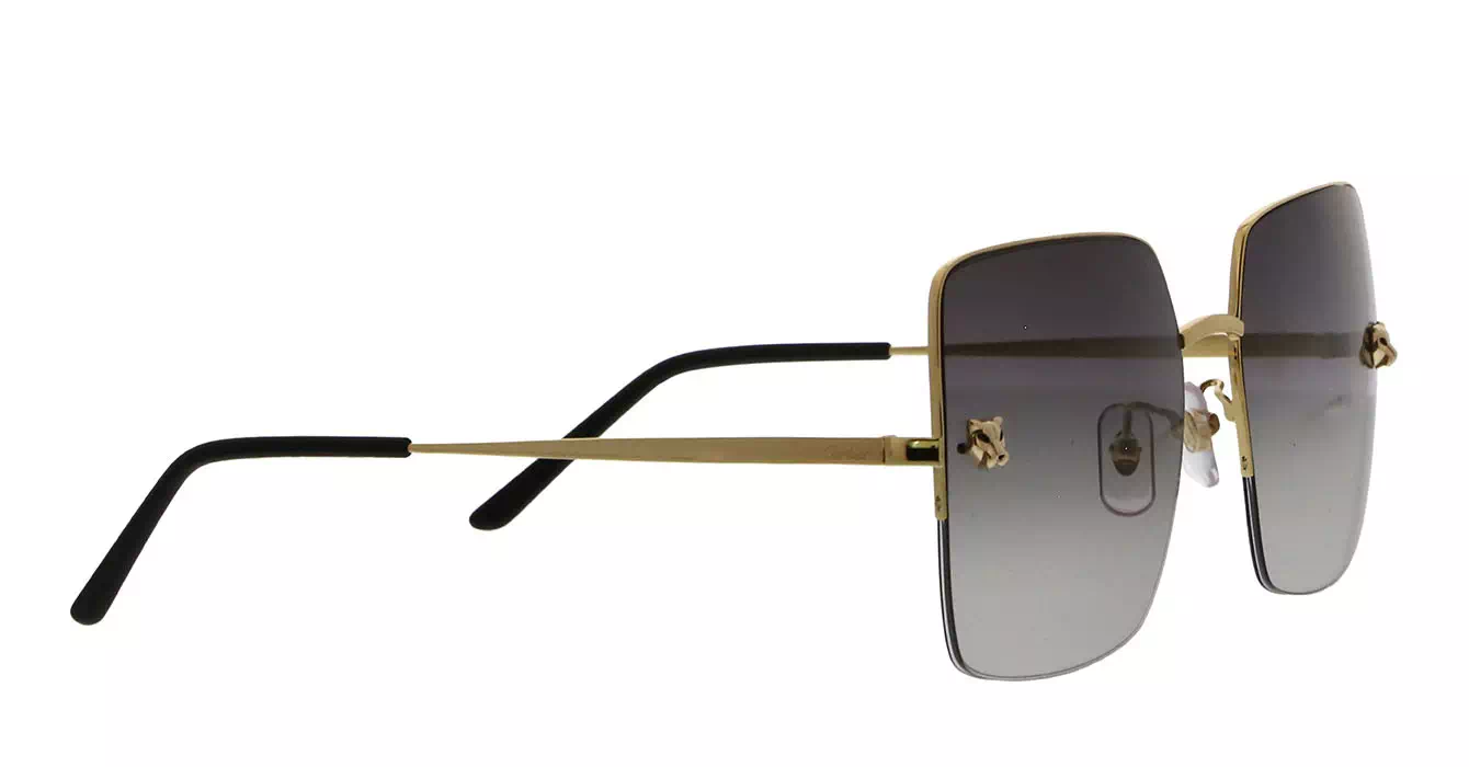 Cartier CT0121SA 004 s60