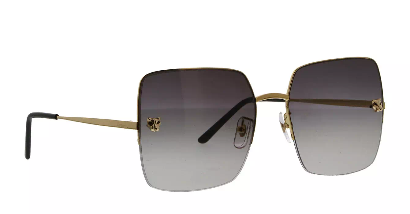 Cartier CT0121SA 004 s60