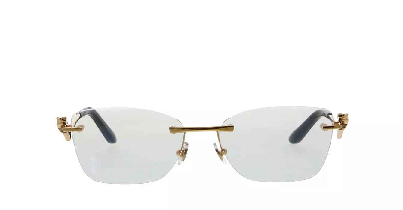 Cartier CT0120OA 001 s54