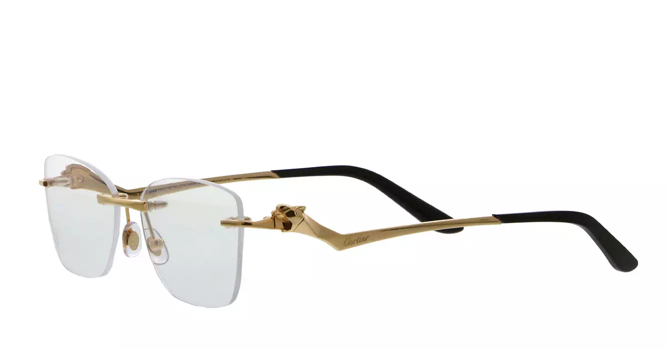 Cartier CT0120OA 001 s54