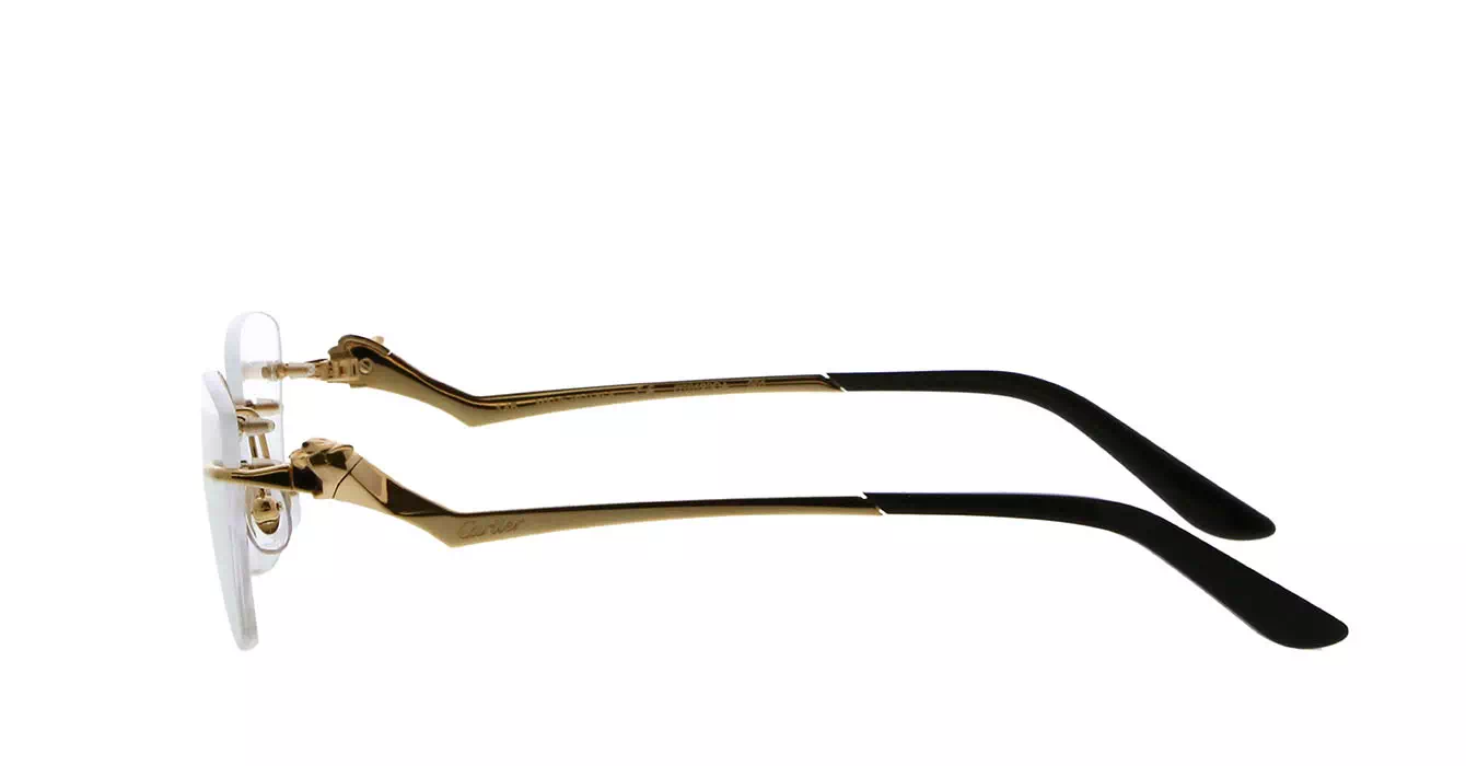 Cartier CT0120OA 001 s54