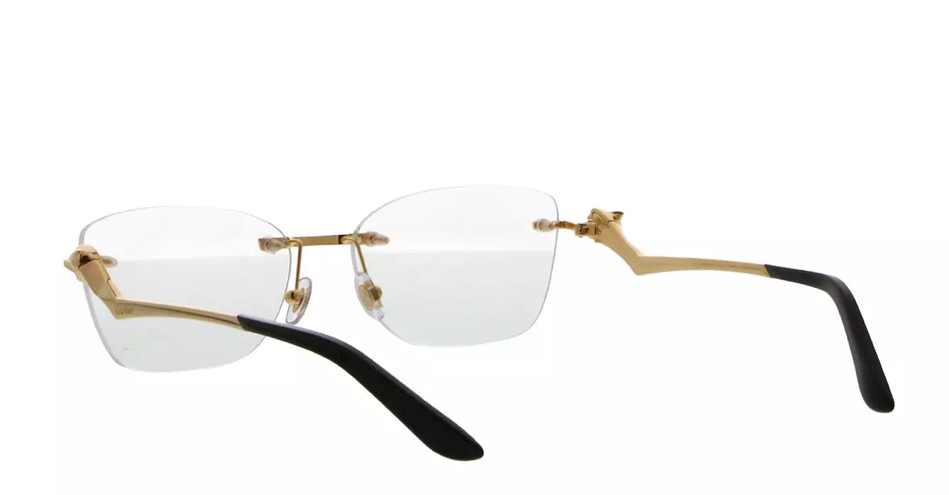 Cartier CT0120OA 001 s54