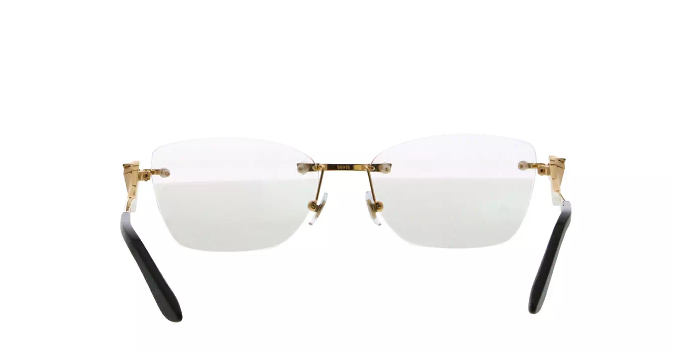 Cartier CT0120OA 001 s54