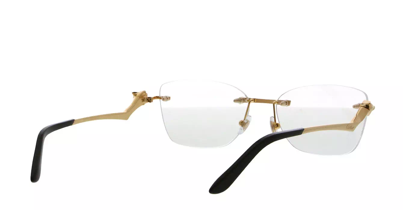 Cartier CT0120OA 001 s54