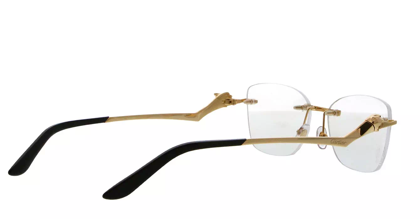 Cartier CT0120OA 001 s54