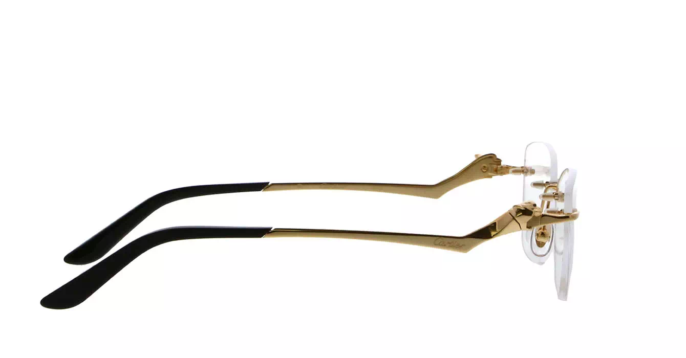 Cartier CT0120OA 001 s54