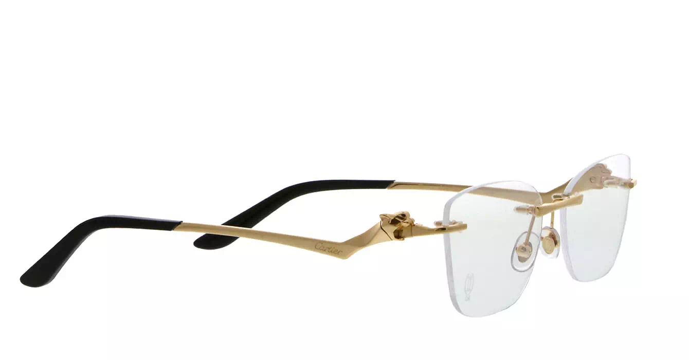 Cartier CT0120OA 001 s54